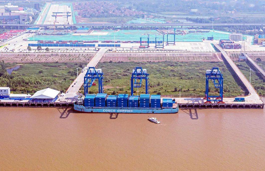 广东省海运集装箱物流协会建设- 云顶国际新闻 - 海南洋浦航力物流有限公司