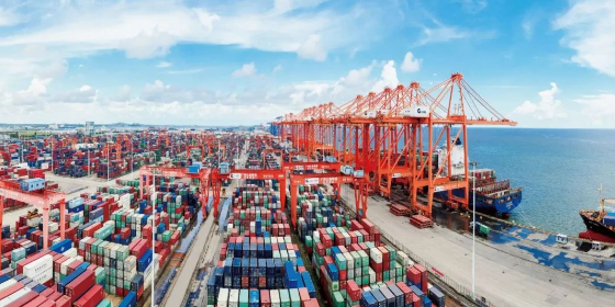 海内海运价钱-2025年6月广东各都会到辽宁营口、盘锦、锦州 - 云顶国际物流