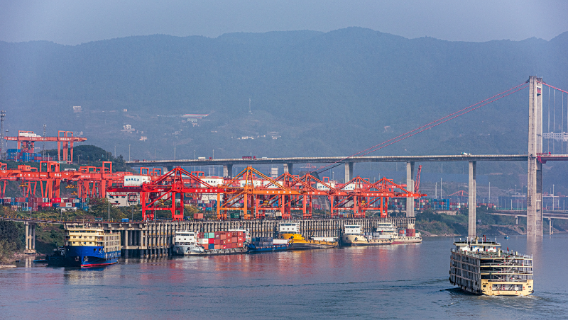 2023年4月03日~04月09日广东到天津内贸海运集装箱价钱运费报价  --  云顶国际物流