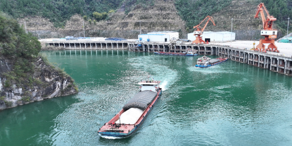 6月运费特价，，，，，天津到广东各口岸海运报价